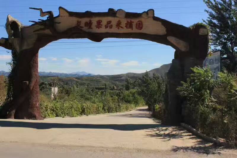 采摘園門頭（有圖均可定制 咨詢電話13303227233）